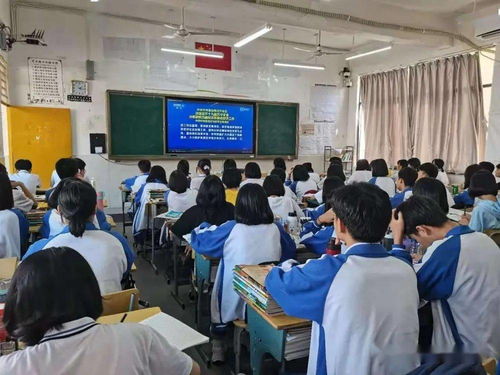 乐东县各级团组织深入学习党的十九届五中全会精神